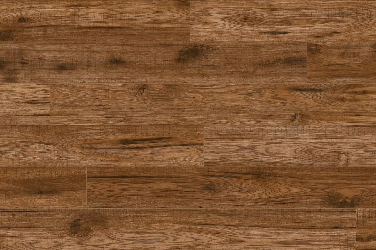 Chestnut Oak